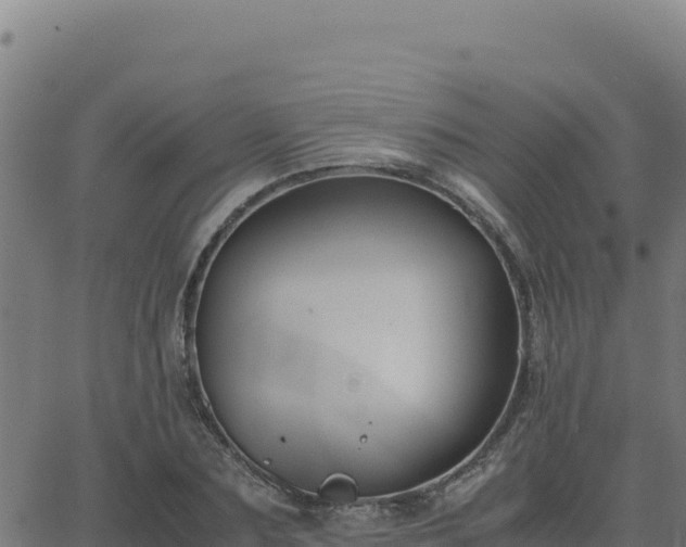 X0000062850883200601201700