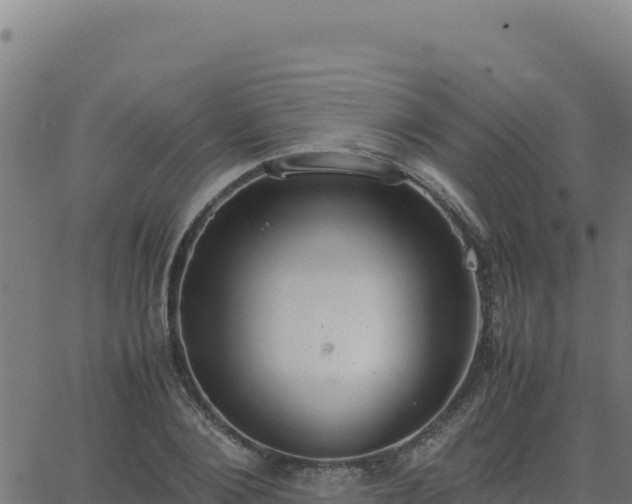 X0000062850884200601201700