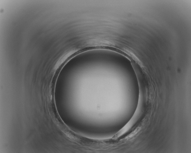 X0000062850885200601201700