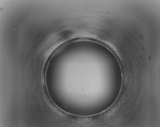 X0000062850887200601201700