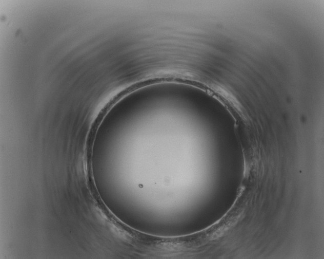 X0000062850888200601201700