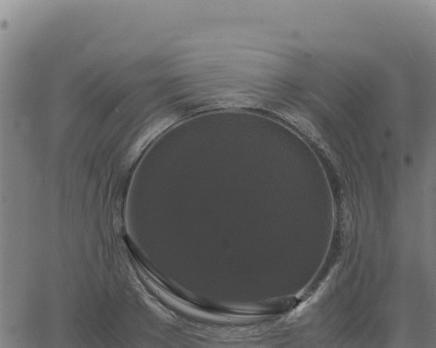 X0000062850889200601201700