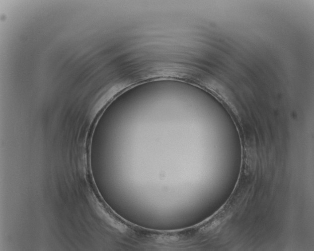 X0000062850890200601201700