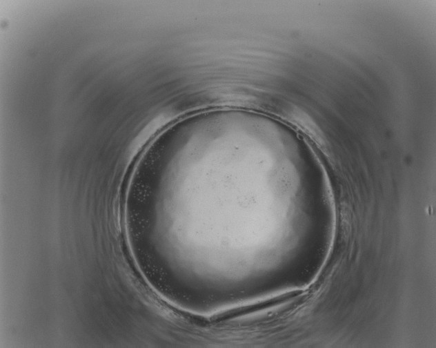 X0000062850891200601201700