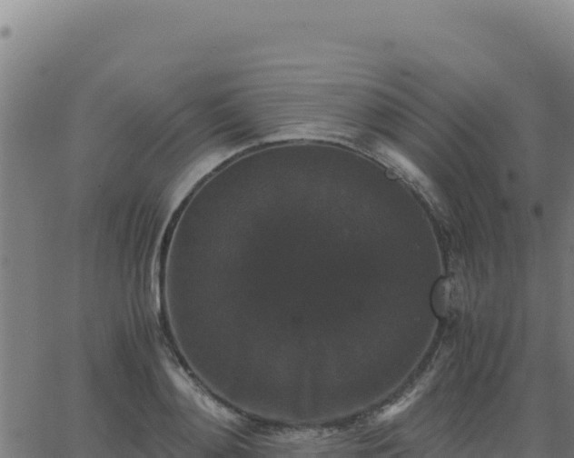 X0000062850892200601201700