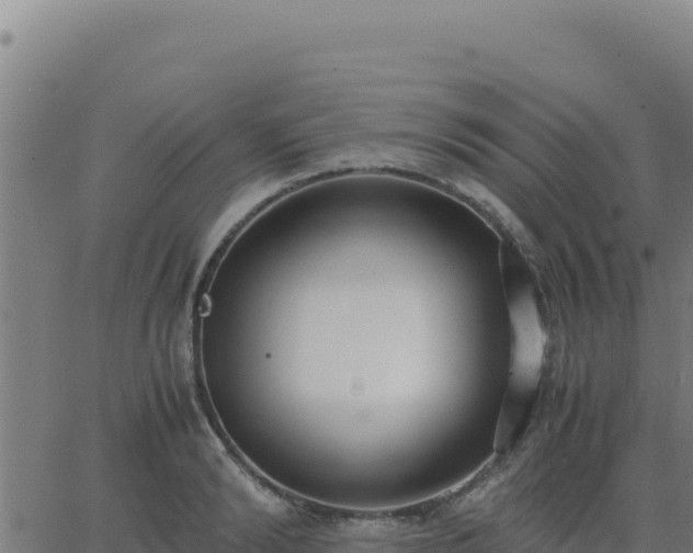 X0000062850894200601201700