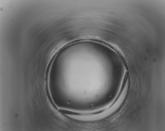 X0000062850895200601201700