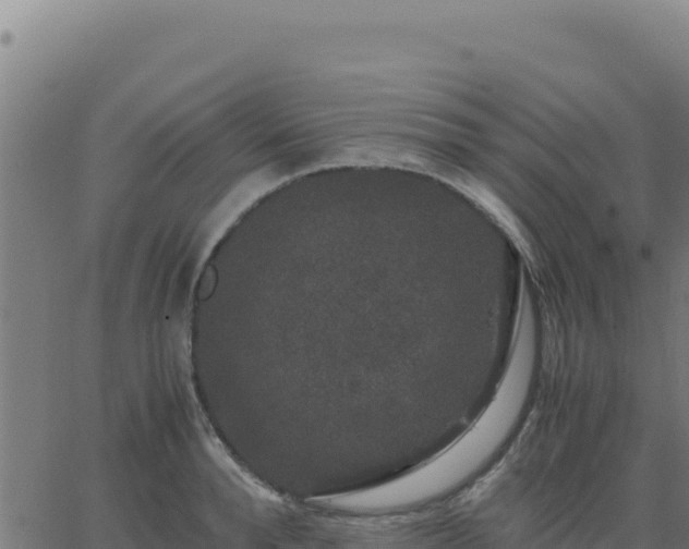 X0000062850896200601201700