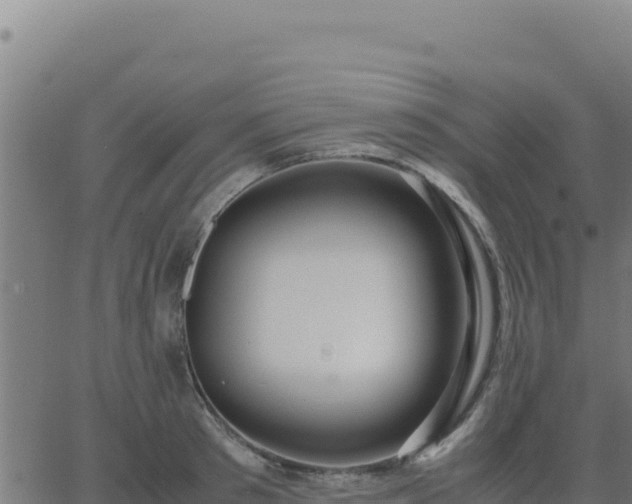 X0000062850897200601201700