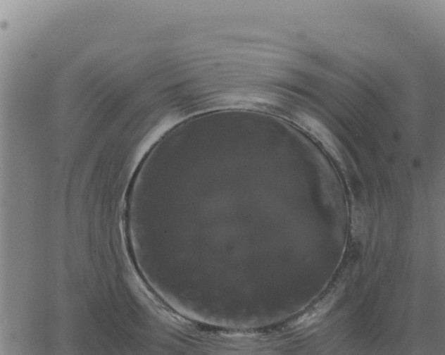 X0000062850899200601201700