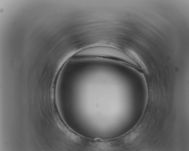 X0000062850900200601201700