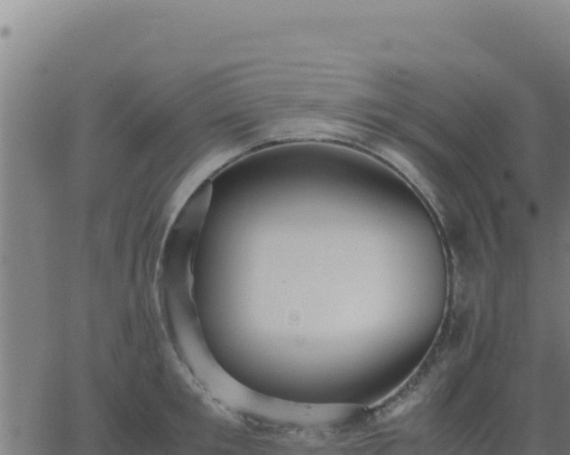 X0000062850901200601201700