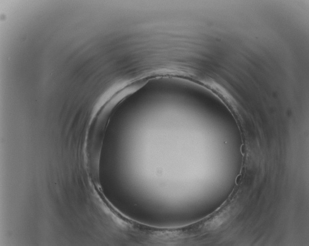 X0000062850902200601201700