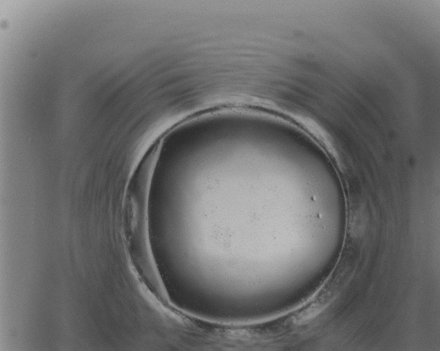 X0000062850903200601201700