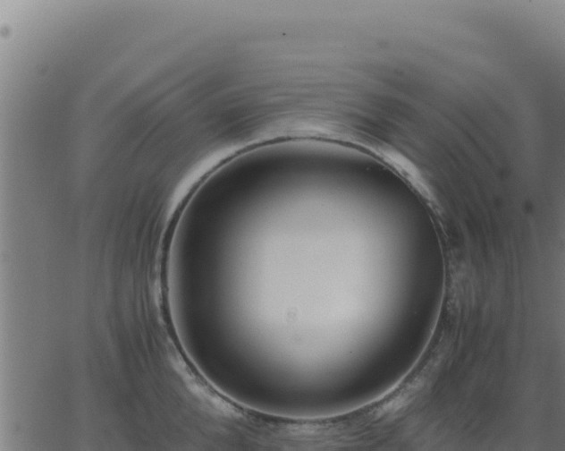 X0000062850904200601201700