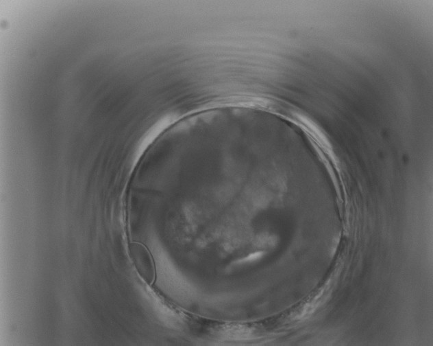 X0000062850907200601201700