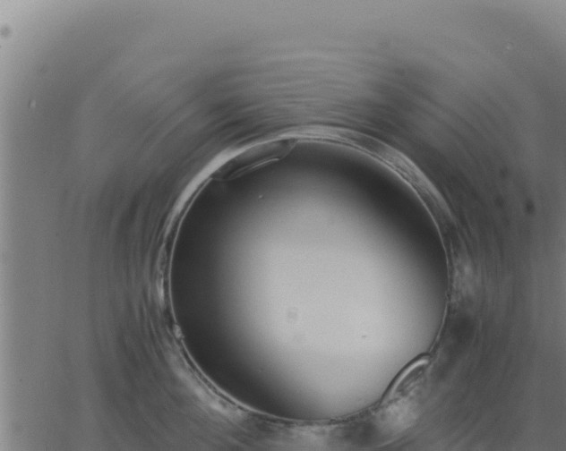 X0000062850908200601201700