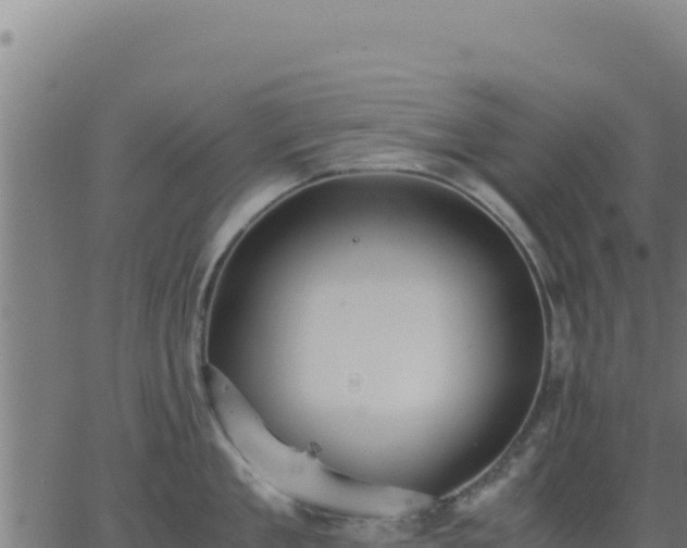 X0000062850909200601201700