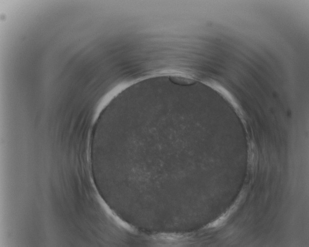 X0000062850910200601201700