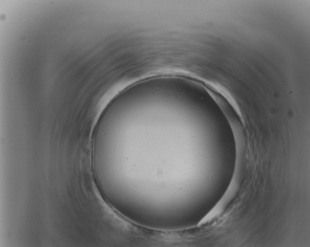 X0000062850911200601201700