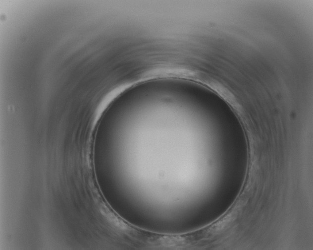 X0000062850912200601201700