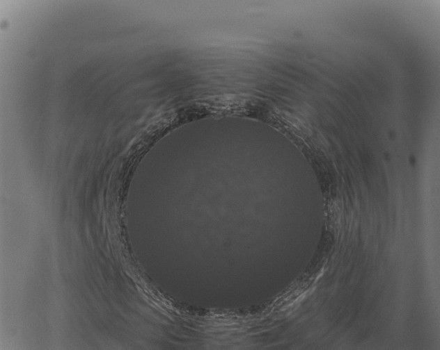 X0000062850913200601201659