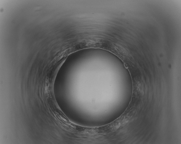 X0000062850914200601201659