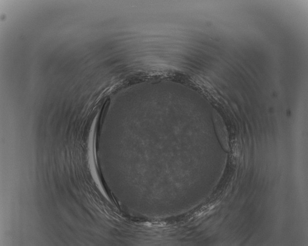 X0000062850916200601201659