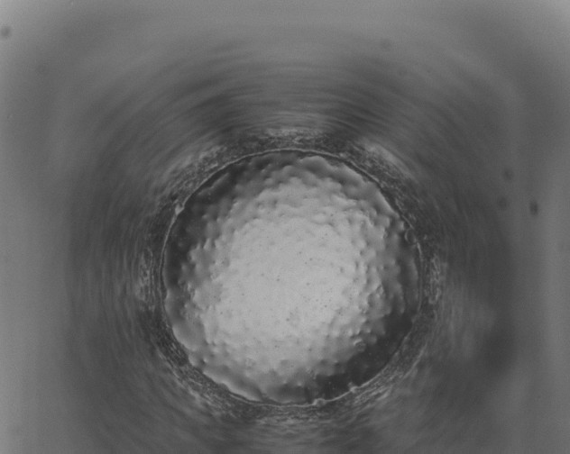 X0000062850917200601201659