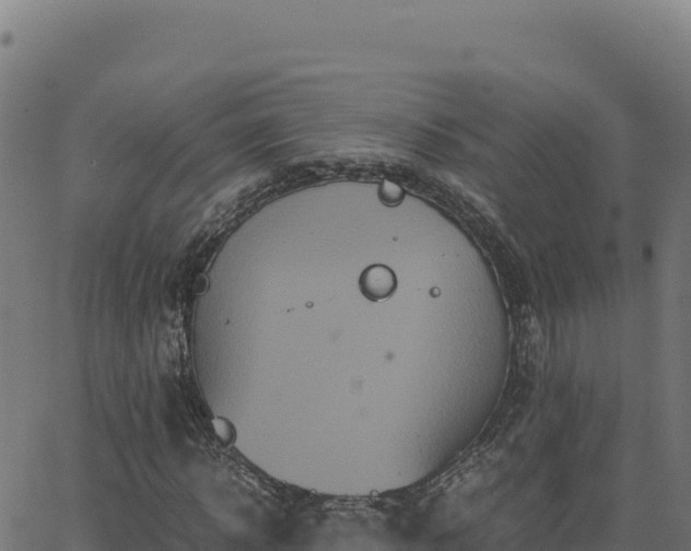 X0000062850918200601201659