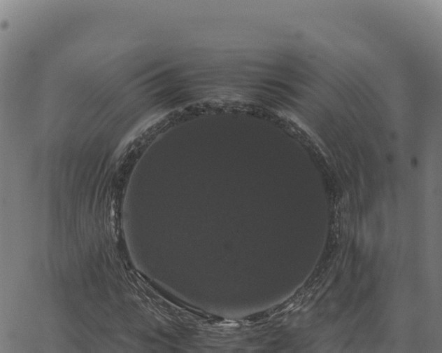 X0000062850919200601201659