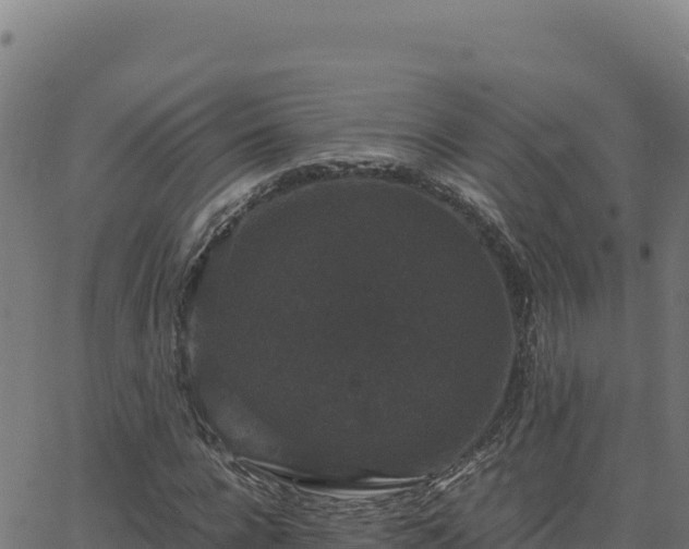 X0000062850920200601201659