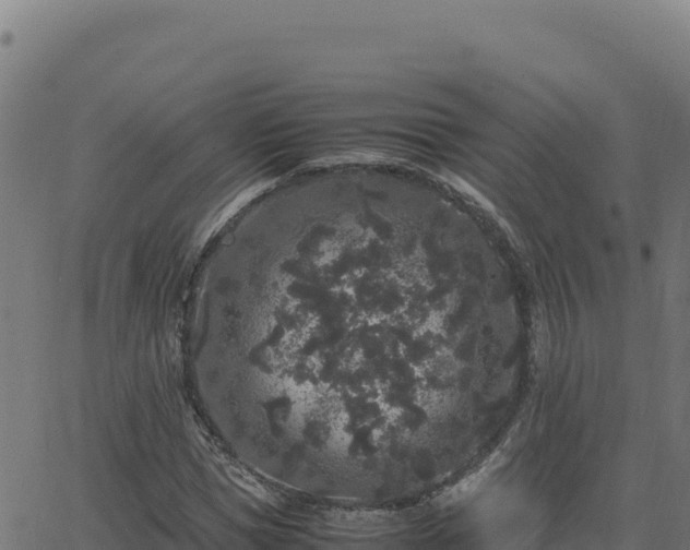 X0000062850921200601201659