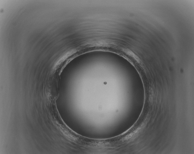 X0000062850922200601201659