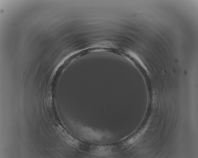 X0000062850923200601201659