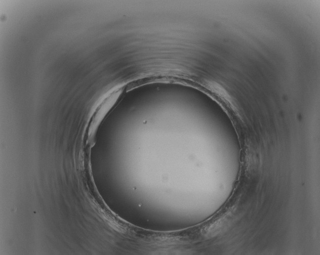 X0000062850924200601201659