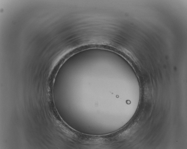 X0000062850926200601201659