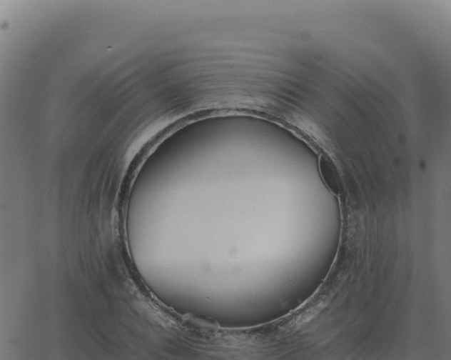 X0000062850928200601201659