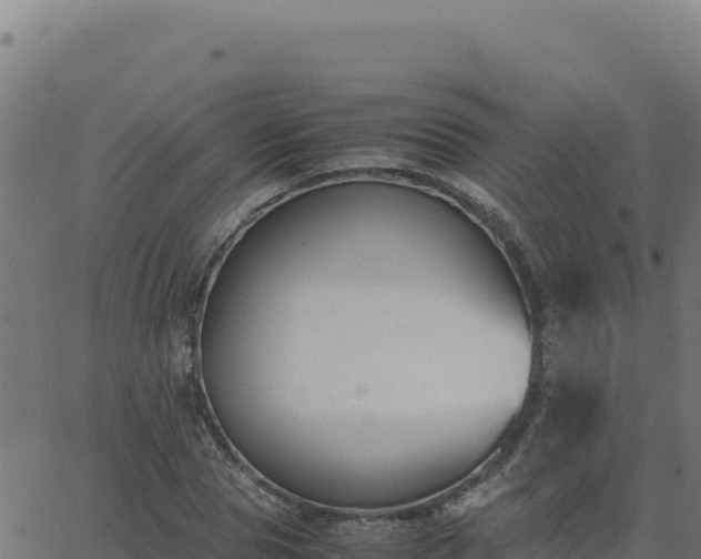 X0000062850929200601201659