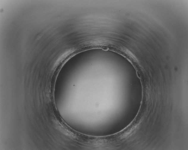 X0000062850930200601201659