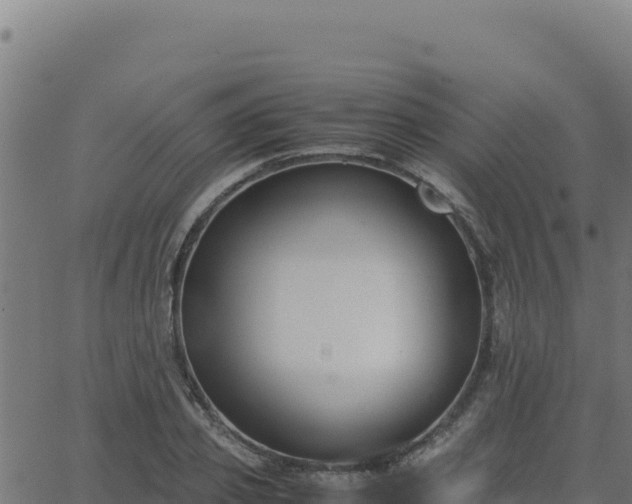 X0000062850933200601201659