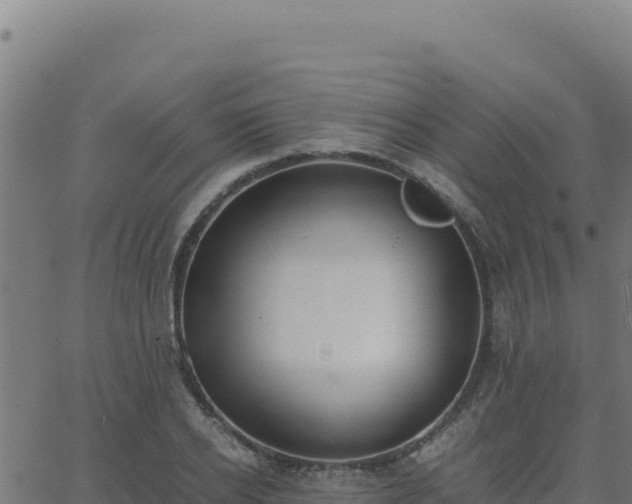 X0000062850934200601201659