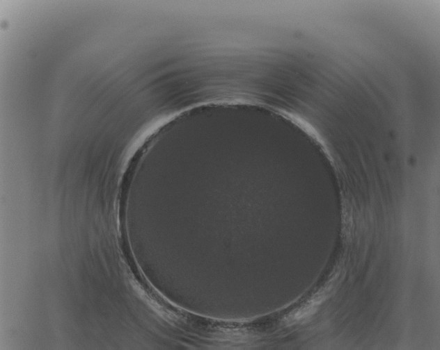 X0000062850935200601201659