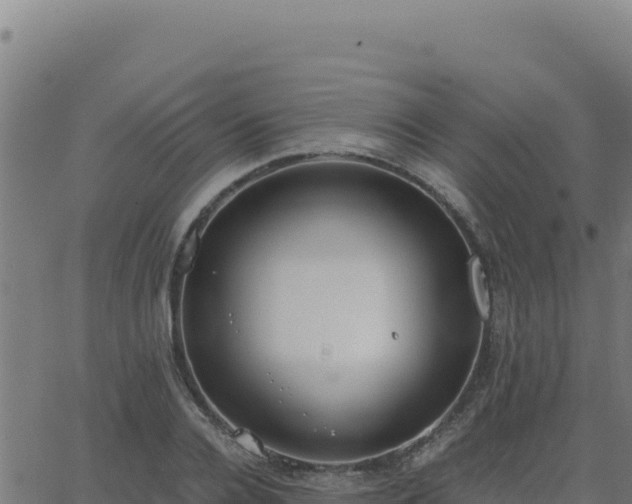 X0000062850936200601201659