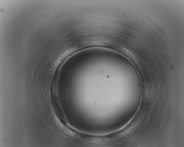 X0000062850938200601201700