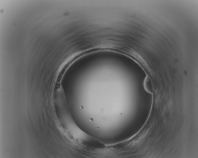 X0000062850939200601201700