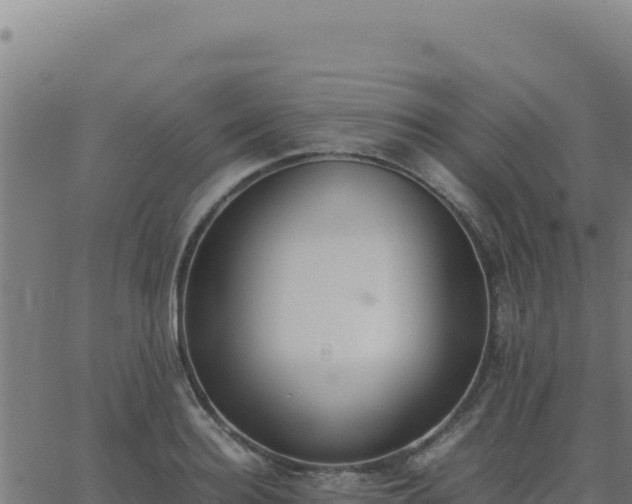 X0000062850940200601201700