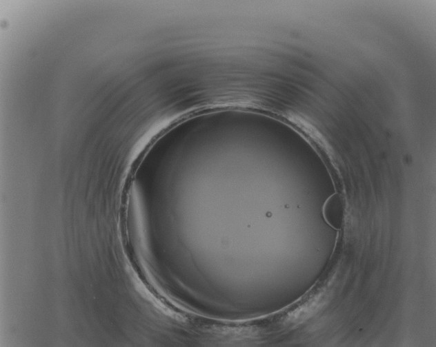 X0000062850941200601201700