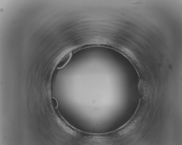 X0000062850942200601201700