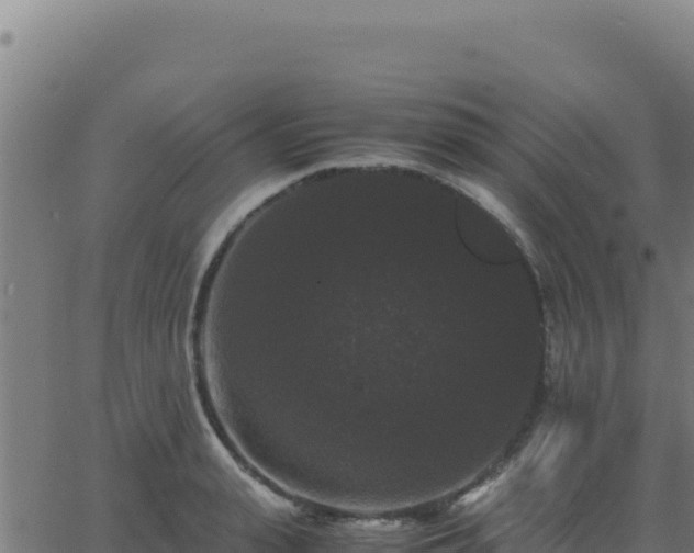 X0000062850943200601201700